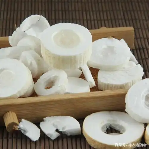 中药古今研究:通草