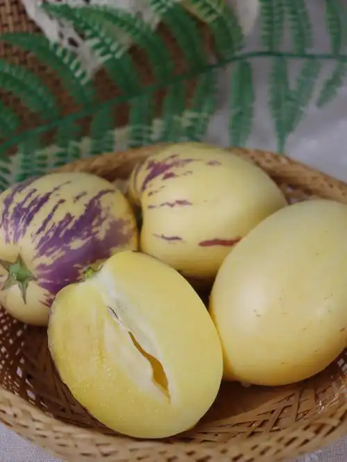 人参果有人吃过吗