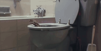 400_204gif 动态图 动图