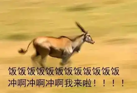 各种动物们冲去吃饭表情包