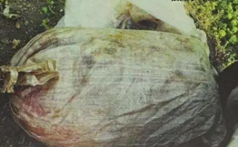 毁灭dna证据,凶手26年销声匿迹|遇害|尸体|尸块|碎尸案_网易订阅