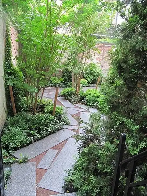 庭院地面铺地,自然随意一些更好!_活动_杂草_设计