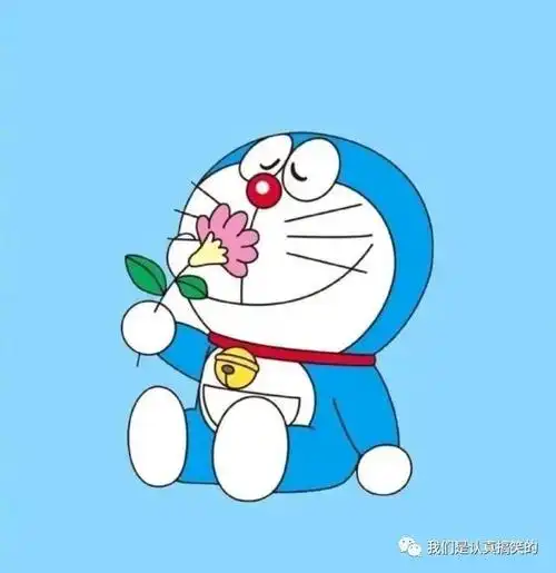 微信朋友圈最搞笑的句子幽默风趣让人笑掉大牙