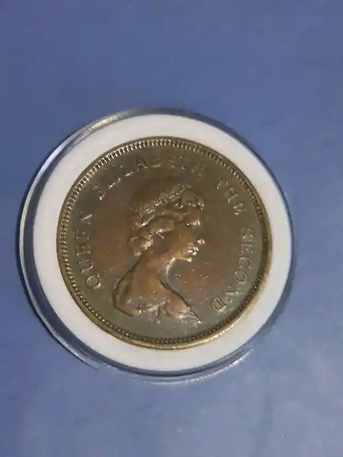 70年代老港币一元,多姿多彩,具体品相看图,包真包