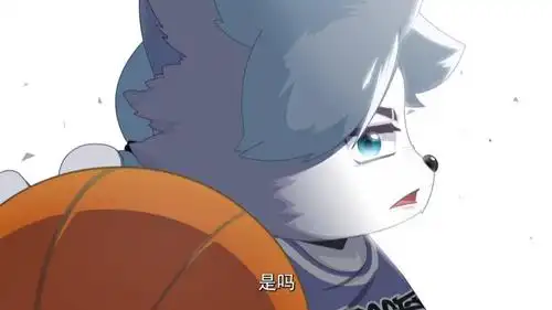 灰叔老了跟不上球队训练却屡受球胜狼照顾球灰cp妥了