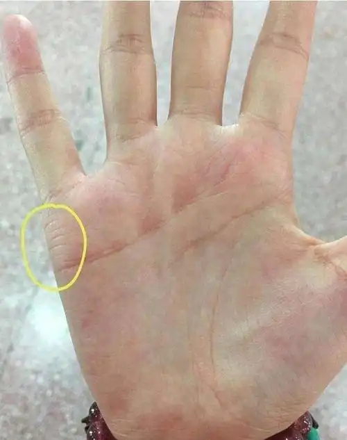 男人假断掌手相图解 第1页