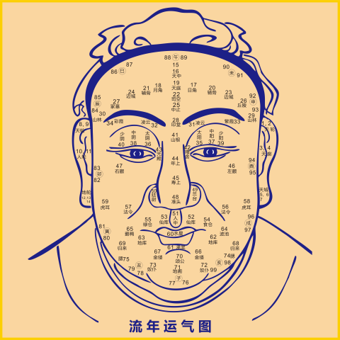 易学 百岁流年图 面部十二宫图 流年运气面相贴 男性面痣图装饰贴