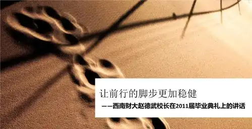 2020让前进的脚步更加稳健.ppt 21页