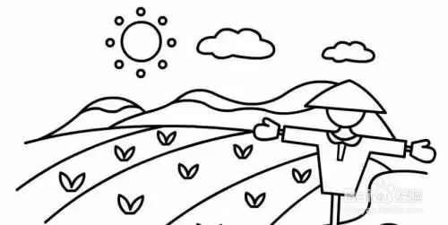 稻田简笔画教程