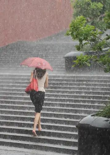 6月10日,一名赶路的游客脱掉鞋袜走在雨中.