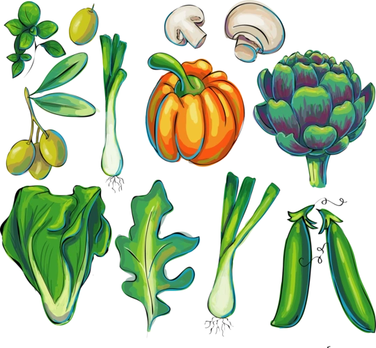 手绘蔬菜图片