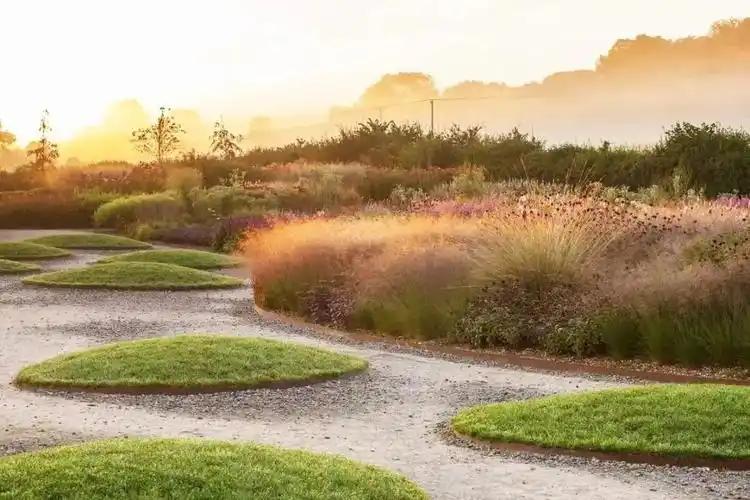 秋冬野草之美–观赏草花境