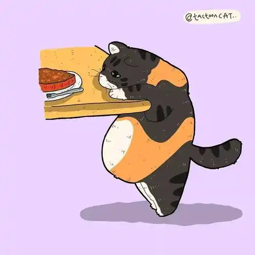 沙雕逗比的猫咪插画,每一张都让你笑到肚子疼!_santoso_rocky_作品