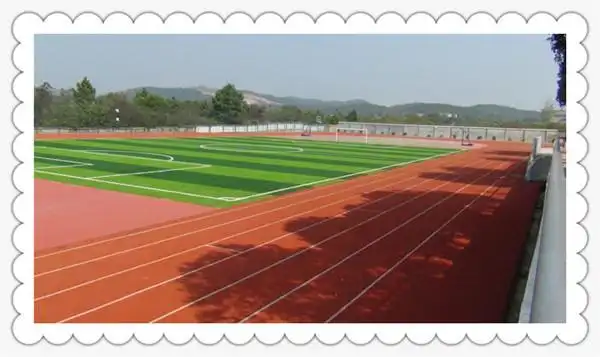 安徽省铜陵市枞阳实验中学