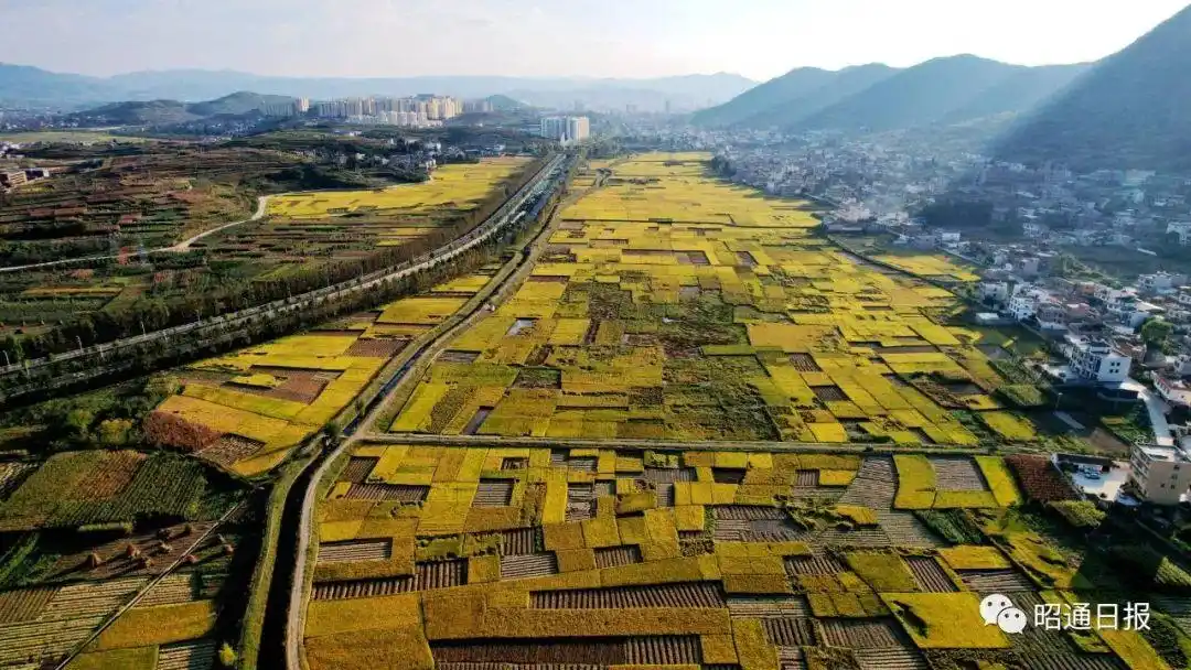 茨院坝子眼下呈现出一幅幅秋日美丽画卷在秀美昭通大地上缤纷五彩绘秋