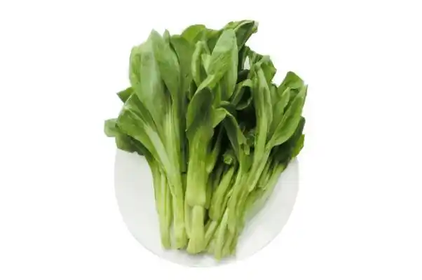 菜苔有几种吃红菜苔会长胖吗