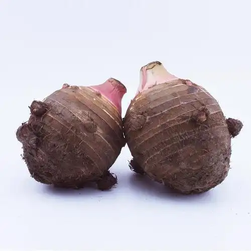 浙江特产奉化大红芋艿头新鲜软糯粉现农家正宗手机保护套