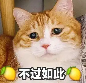 萌宠猫星人不过如此难受呆萌可爱gif动图_动态图_表情包下载_soogif