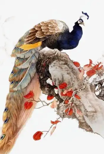 x 523 像素授权方式: 不可商用i分享者:suholo孔雀卡通孔雀开屏孔雀