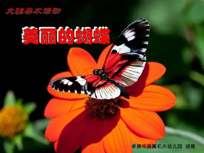 大班美术活动美丽的蝴蝶ppt课件pptppt