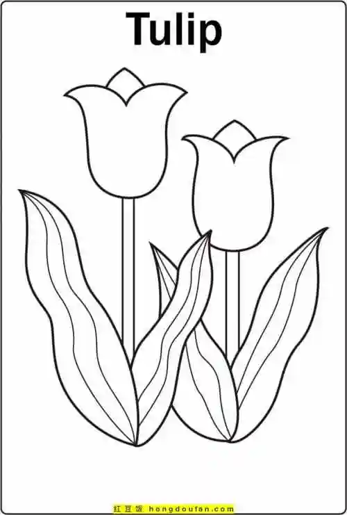 画,母亲节,爱,花园,花束,郁金香,郁金香简笔画收录时间2022年8月14日