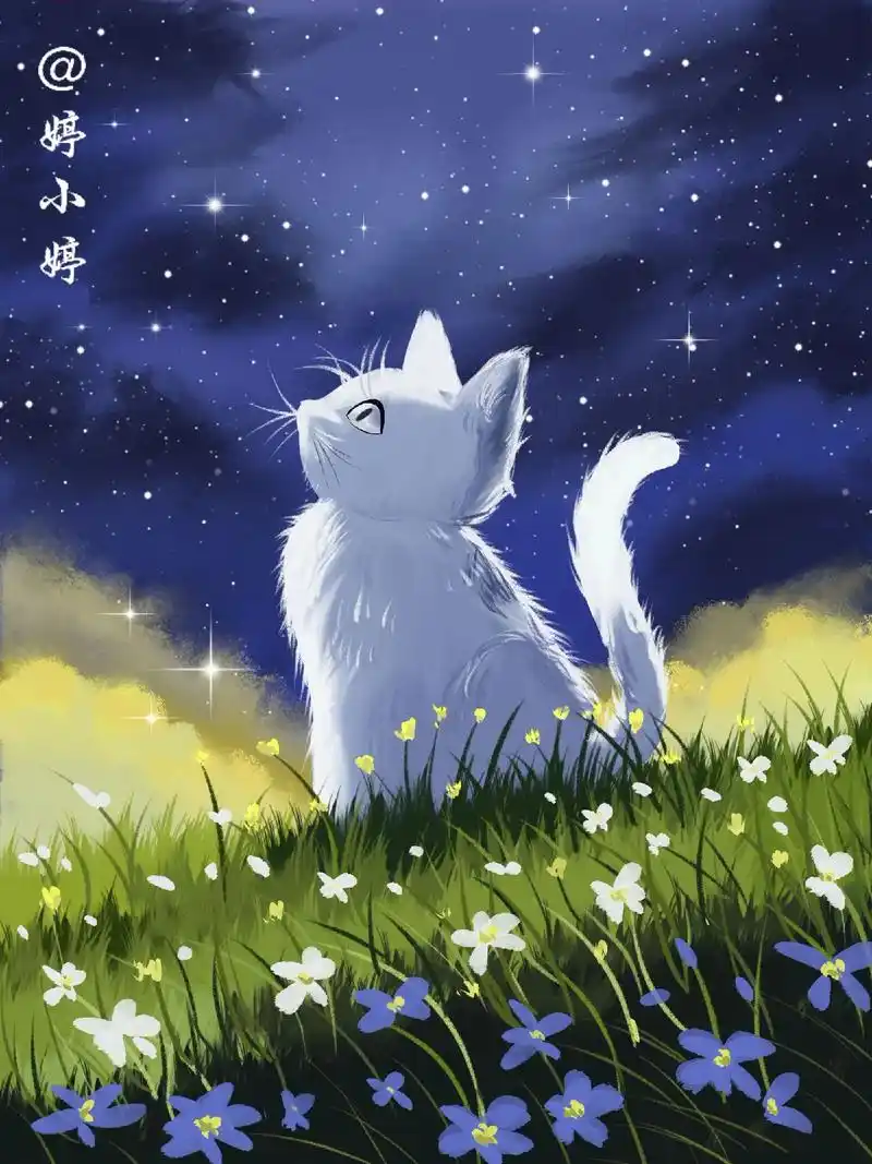 星空下的猫(附步骤)临摹素材:🍠@今日有画～