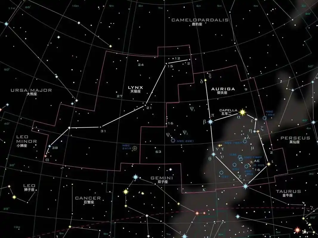 八十八星座之御夫座和天猫座