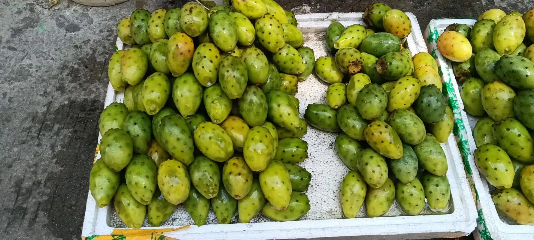 泸定仙人掌果实,别名仙桃,仙桃含有丰富的矿物质,蛋白质,纤维 - 抖音