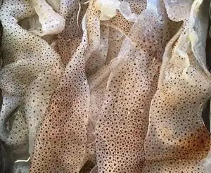 野生珊瑚海蜇皮七星虎斑海蜇皮桶装分量足口感好我们只供餐饮酒店