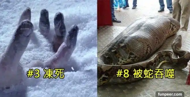 4 每次都说饿死,原来要「饿到挂掉」过程超痛苦!