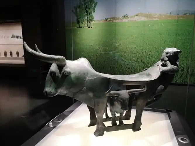 云南省博物馆攻略