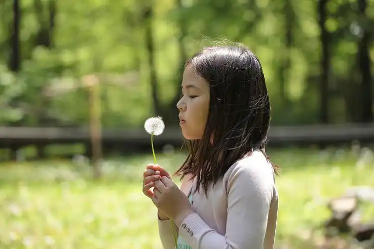 女孩许愿,吹蒲公英花图片下载