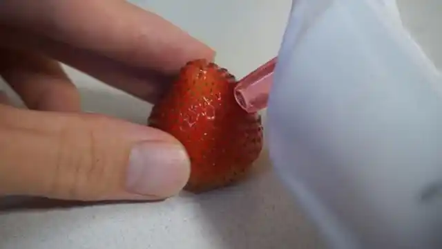 用高倍显微镜观察草莓,用黑头吸出器去草莓黑头,看完还想吃草莓吗