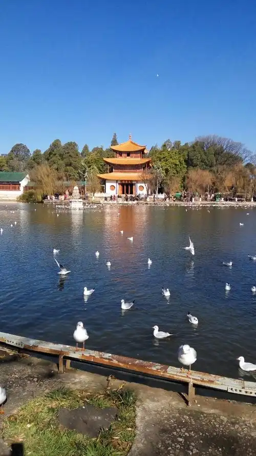 【携程攻略】昆明大观楼景点,向往天下四大名楼,及天下第一长联真是名