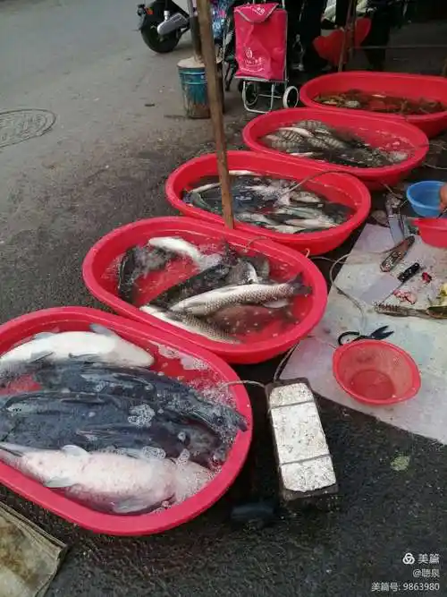 鱼市的味道