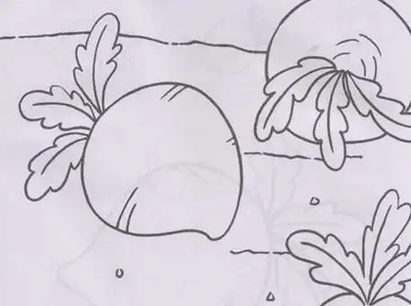 萝卜地简笔画儿童