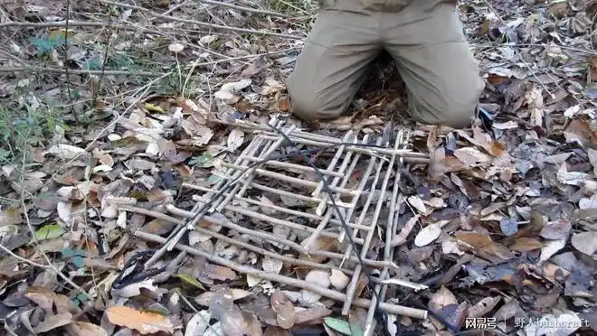 荒野求生不愁吃喝,捕鸟神器地笼的制作