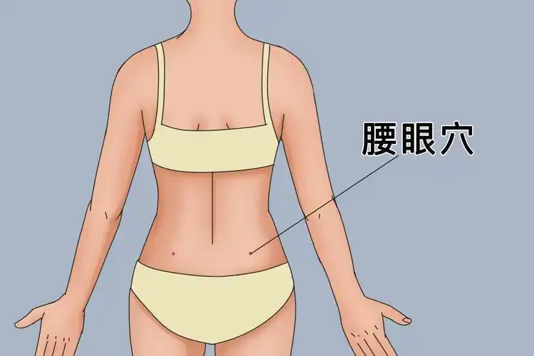 腰眼:位于腰部,在第4腰椎棘突下,旁开约3.5寸凹陷中.