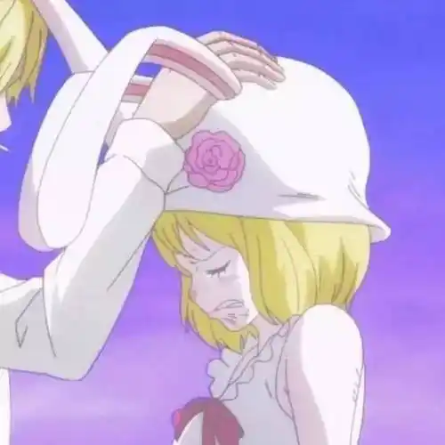 海贼王情侣头像特辑