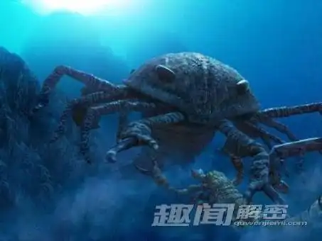 p>巨型羽翅鲎,体长约2.43米,,生活在距今约4.5亿年前.