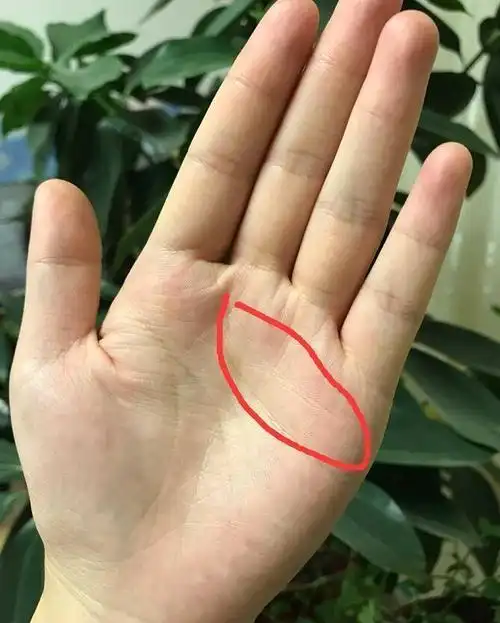 手握"此纹"必定大富大贵,天生富贵的4大手相