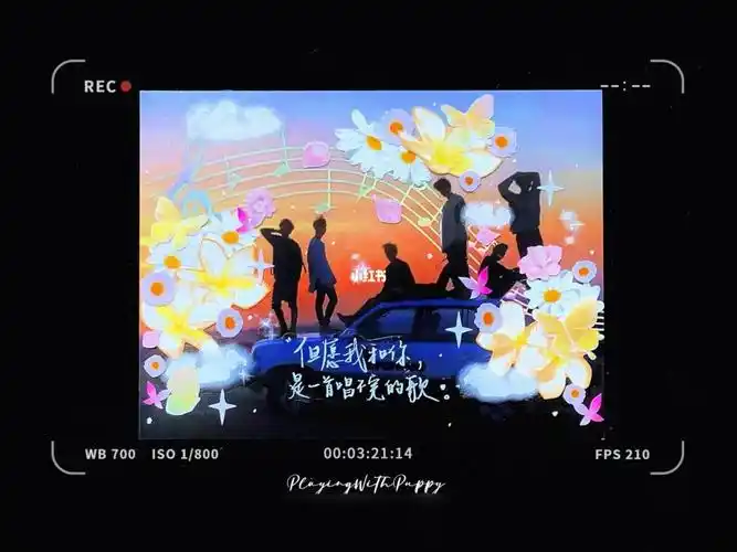 咕卡78花样年华bts
