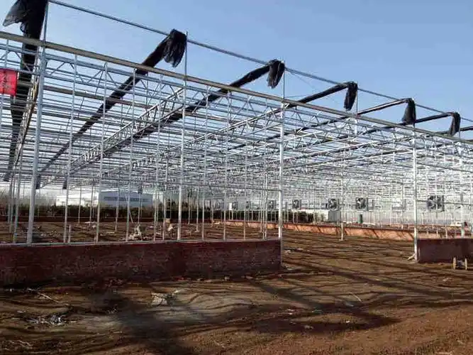 日光温室钢构大棚骨架案例