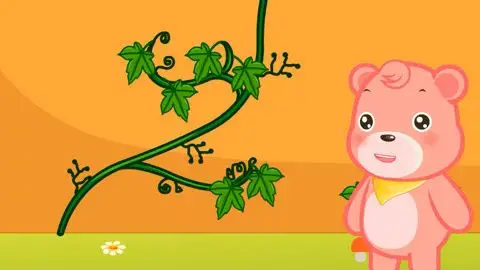 为什么爬山虎能爬墙