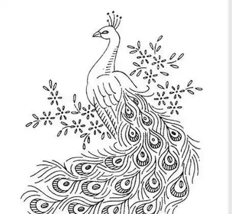 孔雀的简笔画图片大全孔雀简笔画的画法步骤教程儿童简笔画孔雀,教