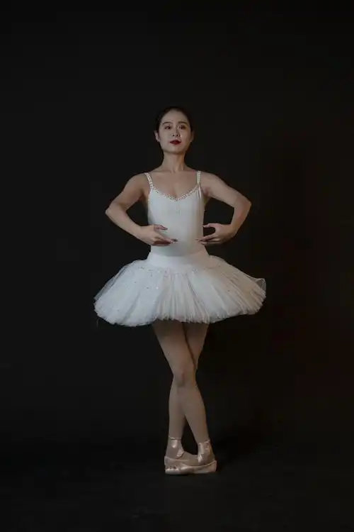 一只小天鹅的舞姿