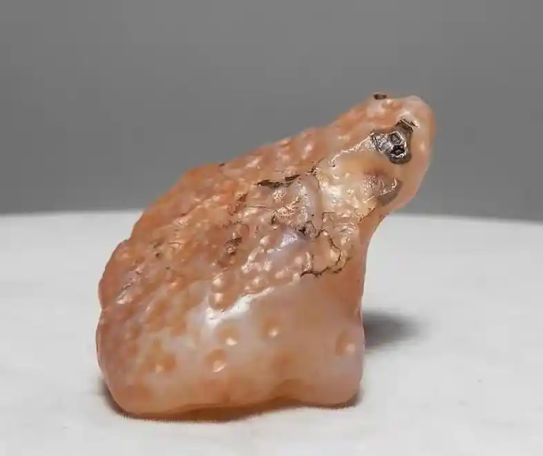 戈壁石神兽象形奇石合辑,走兽类动物造型观赏奇石