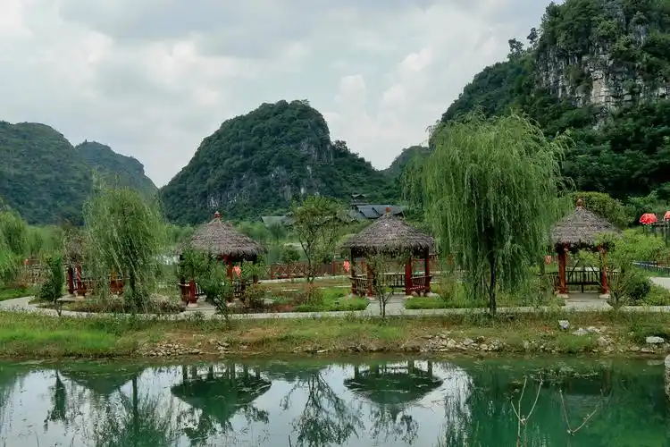 【镇宁·千年高荡树】 位于安顺市镇宁县城西南面,坐落在黄果树上游的