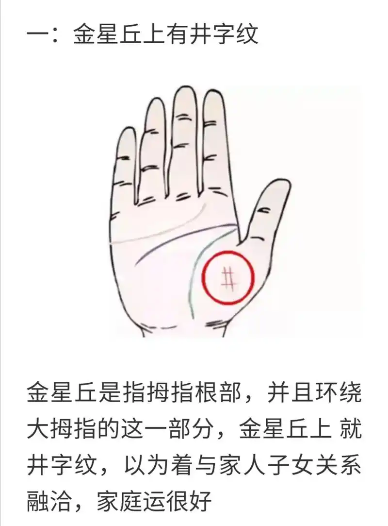 男人能娶美女的手相. - 抖音