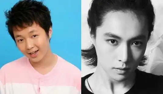 鹿晗解约 靠整容维持鲜肉颜